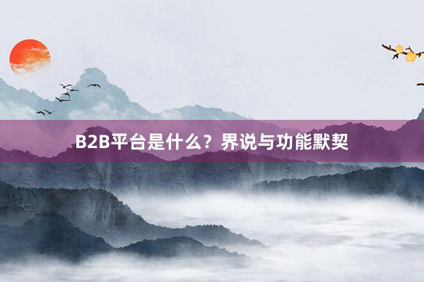 B2B平台是什么？界说与功能默契