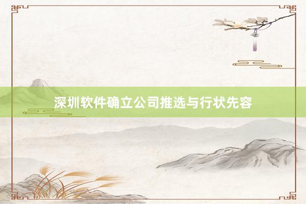 深圳软件确立公司推选与行状先容