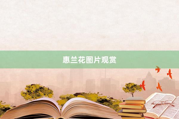 惠兰花图片观赏