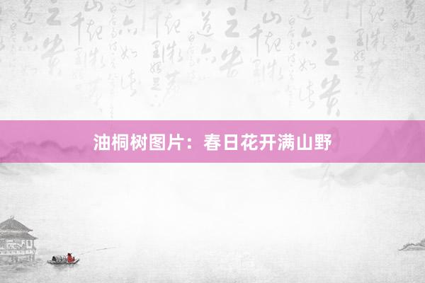 油桐树图片：春日花开满山野